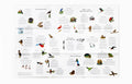 Puzzle "In 50 Vögeln um die Welt"