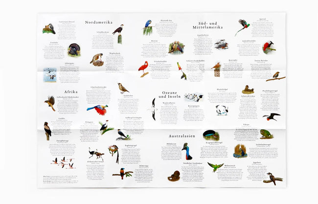 Puzzle "In 50 Vögeln um die Welt"
