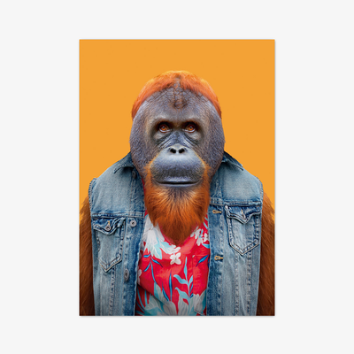 Postkarte "Bornean Orangutan"