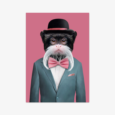 Postkarte "Emperor Tamarin"