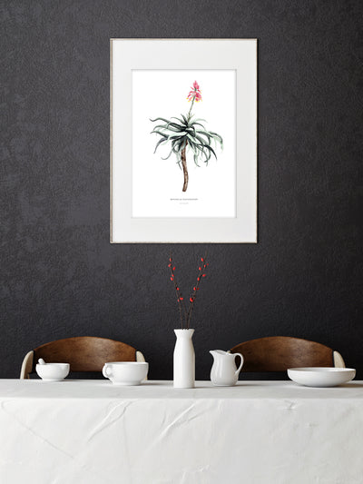 Art Print "Succulent"