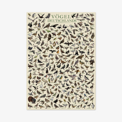 Art Print "Vögel Deutschlands"