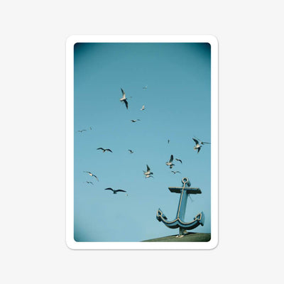 Postkarte "Anker Möwen"