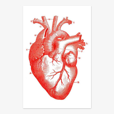 Art Print "Heart"
