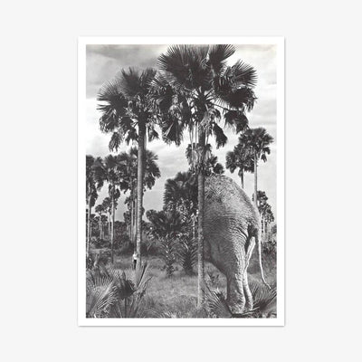 Postkarte "Hide And Seek"