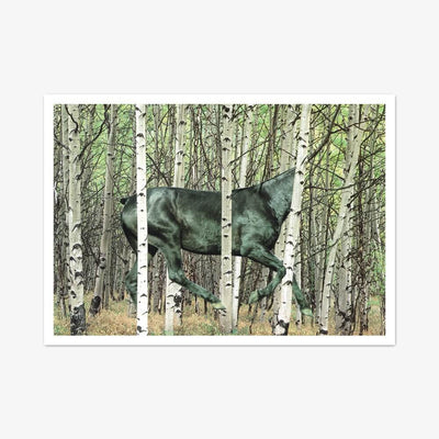 Postkarte "Shut Up I'm Dreaming"