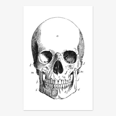 Postkarte "Skull"