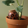 Olla - Macchiato Leopard