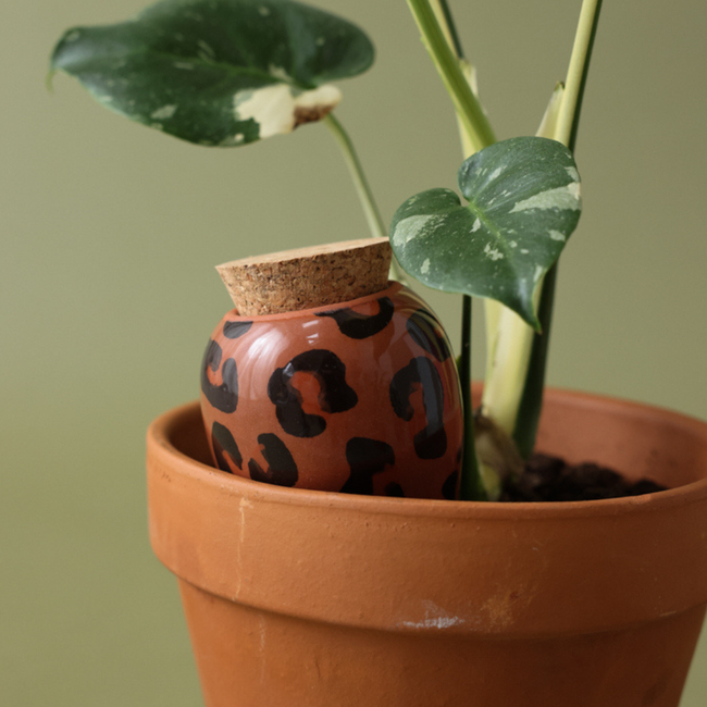 Olla - Macchiato Leopard