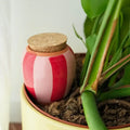 Olla - pink und rot