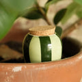 Olla - grün & grün