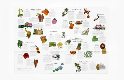 Puzzle "In 50 Pflanzen um die Welt"