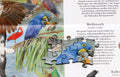 Puzzle "In 50 Vögeln um die Welt"