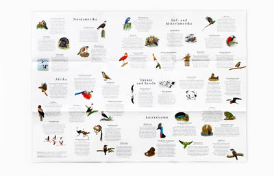 Puzzle "In 50 Vögeln um die Welt"