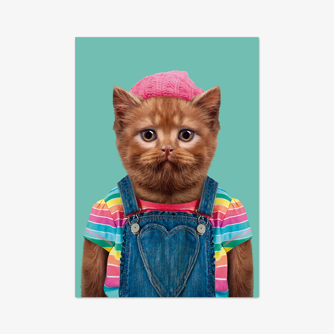 Postkarte "British Shorthair Cat"