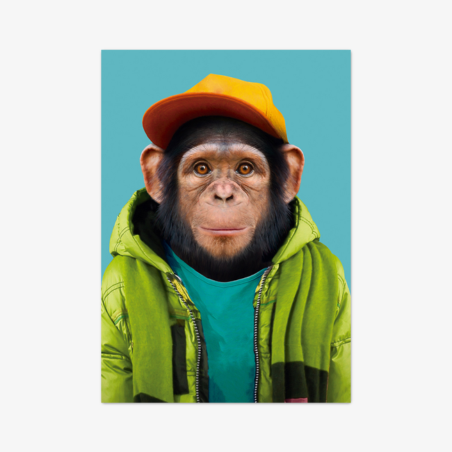Postkarte "Common Chimpanzee"
