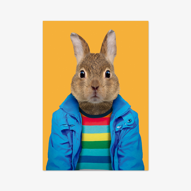 Postkarte "European Rabbit"