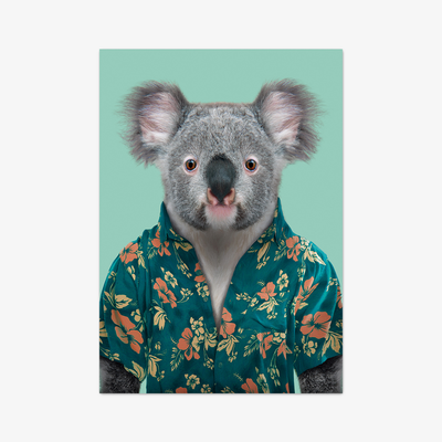 Postkarte "Koala"