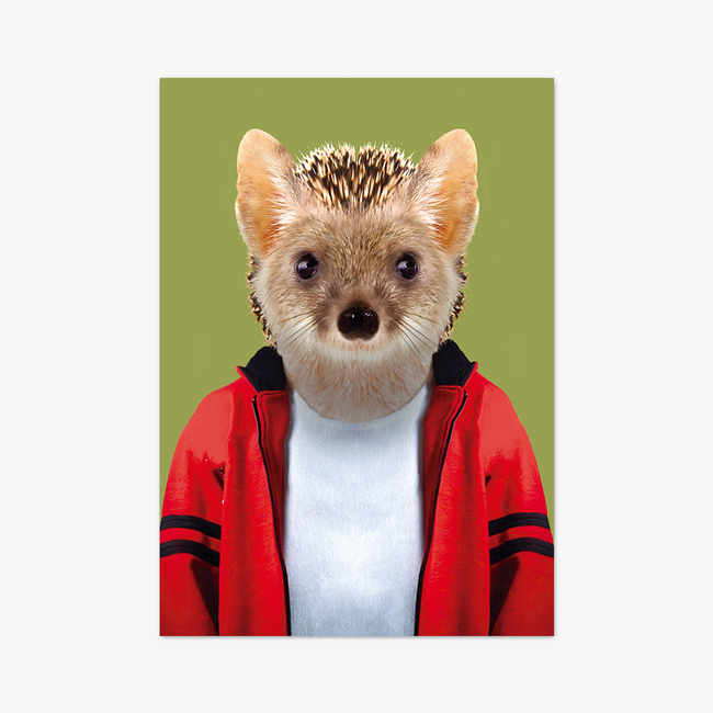 Postkarte "Long-eared Hedgehog"