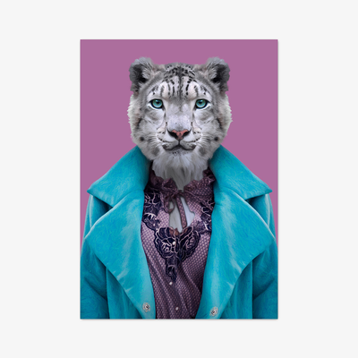 Postkarte "Snow Leopard"