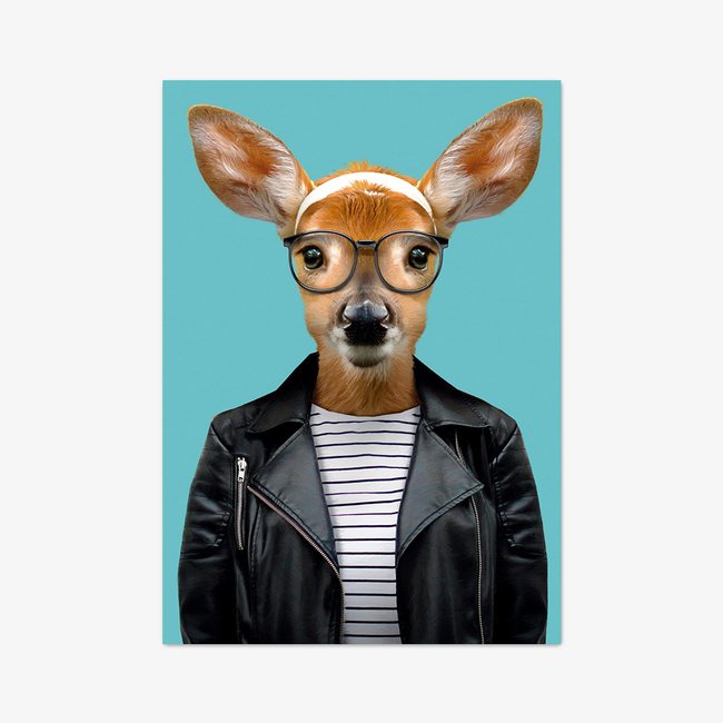Postkarte "White-tailed Deer"