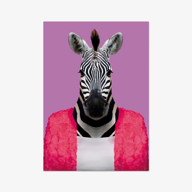 Postkarte "Zebra"