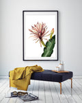 Art Print "Red Cactus Flower"