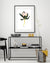 Art Print "King Protea"