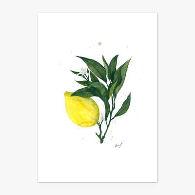 Art Print "Lemon"