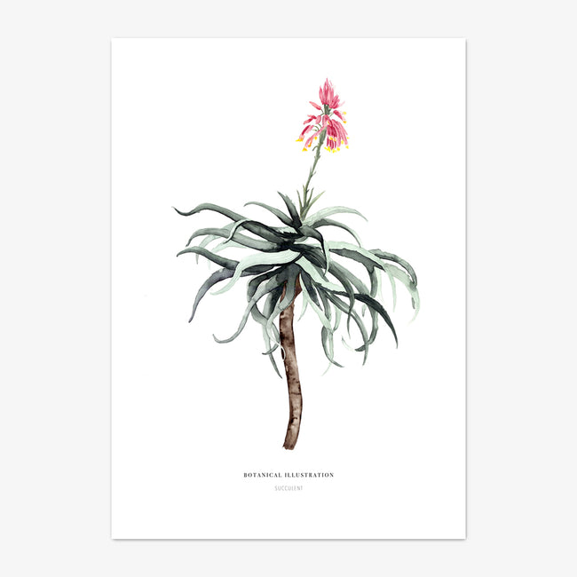 Postkarte "Succulent"