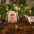 8 Handgemachte Seedbombs "Kornfeld"