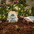 8 Handgemachte Seedbombs "Gänseblümchen"