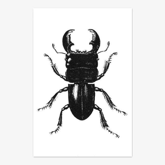 Postkarte "Beetle"
