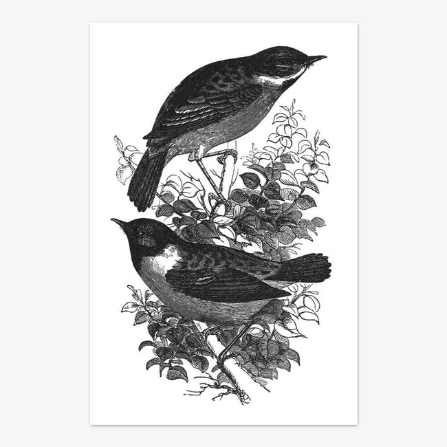 Postkarte "Birds"
