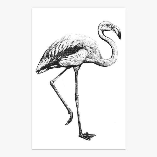 Postkarte "Flamingo"
