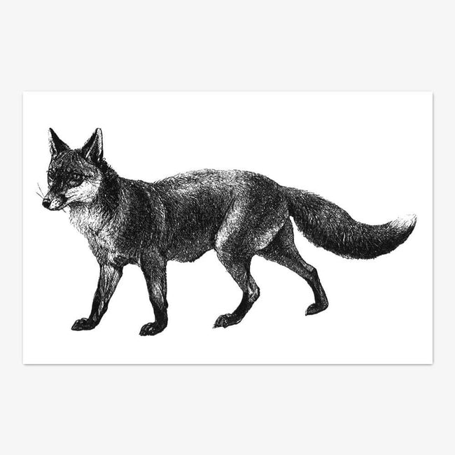 Postkarte "Fox"