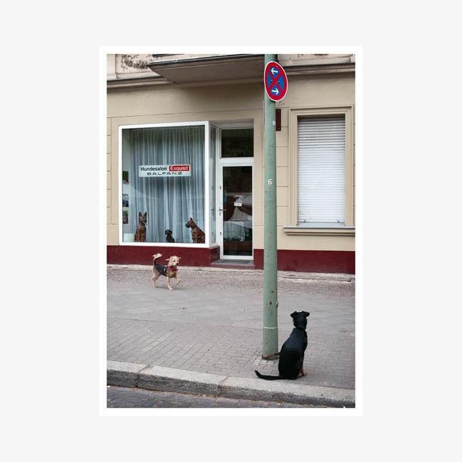 Postkarte "Hundesalon"