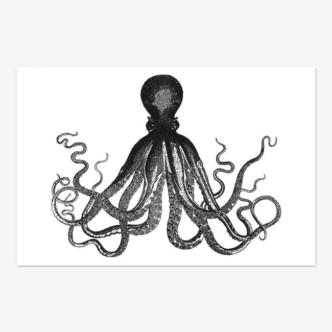 Postkarte "Octopus"