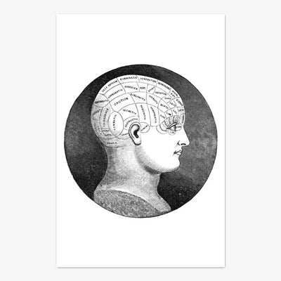 Postkarte "Phrenology"