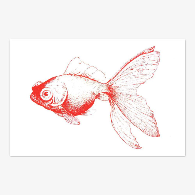 Postkarte "Red Fish"