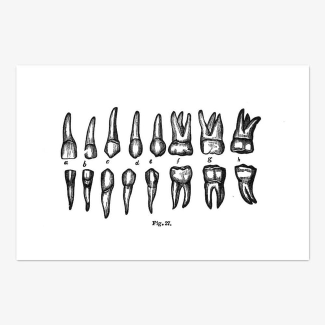Postkarte "Teeth"