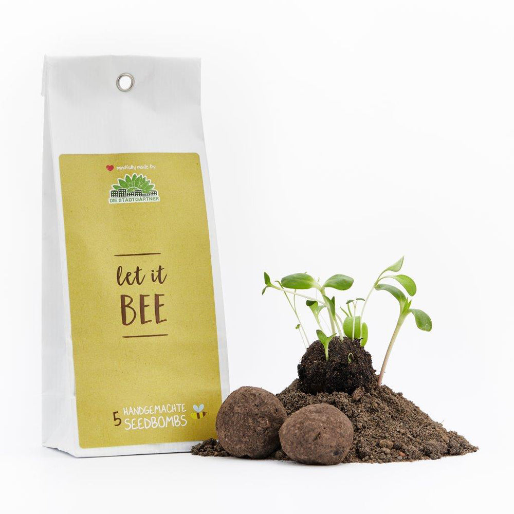 5 Handgemachte Seedbombs "Let It Bee"