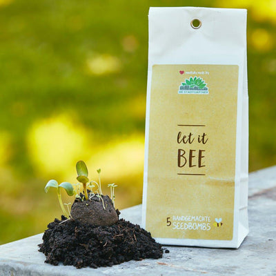 5 Handgemachte Seedbombs "Let It Bee"