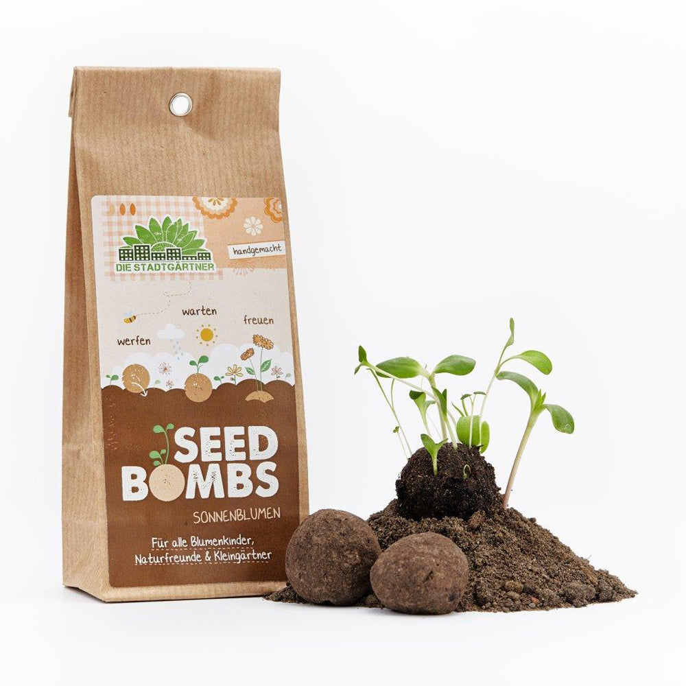 5 Handgemachte Seedbombs "Sonnenblumen"